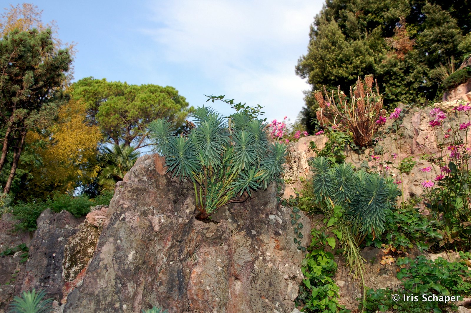 Der Andre Heller Garten Am Gardasee