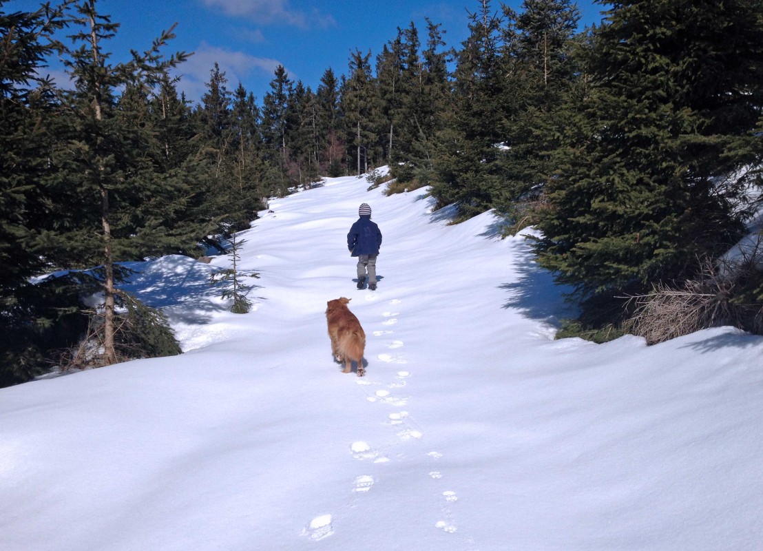 Kind und Hund laufen auf einem unberührten Schneeweg im Nordschwarzwald