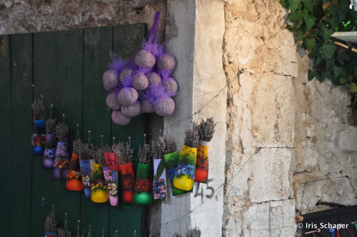Getrockneter Lavendel in Rovinj