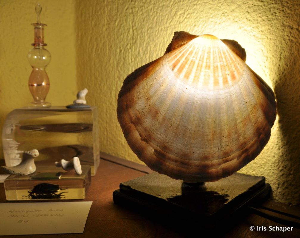 Jakobsmuschel-Lampe in Galicien